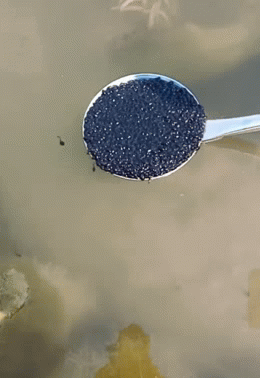 小熊猫|搞笑动态趣图GIF：这些伞怎么都飞上天。