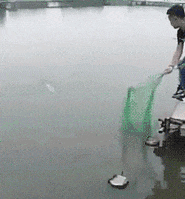 妹子|搞笑GIF：鱼：瞅你那怂样，我就吓唬你一下