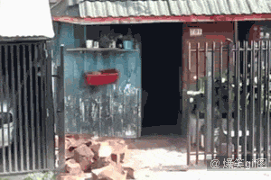 紧箍咒|搞笑GIF:熊孩子你也要带紧箍咒啊