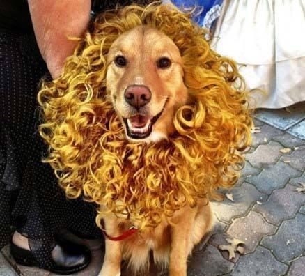 小赵|搞笑段子：遇到这样的女司机，谁还敢来坐你的车