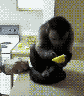 禅师|搞笑段子:去见异地女友,竟然在她房间抽屉发现了皮鞭……