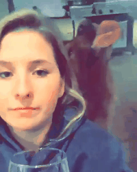 妹子|搞笑GIF：一言不合就劈叉！妹子你故意的吧？