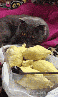 雨衣|搞笑GIF：哈哈