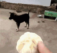 这是|爆笑gif图:这应该是世界上最牛的三轮车了吧