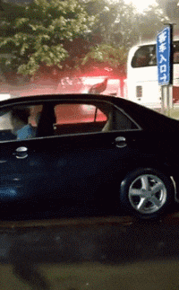 不行|搞笑GIF：？？？