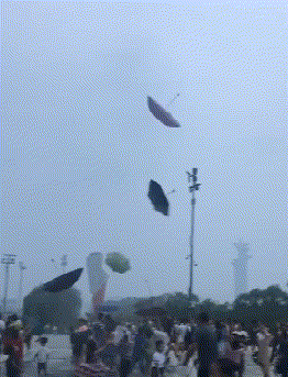 小熊猫|搞笑动态趣图GIF：这些伞怎么都飞上天。