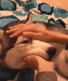 裤子|GIF搞笑趣图：你说你出门怎么也不穿一条好的裤子！