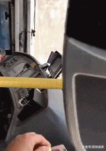 老实人|搞笑GIF：这里有个老实人