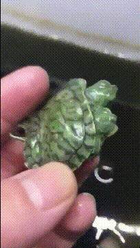 表嫂|搞笑GIF：抬头一看，发现我倒了一碗牙签！