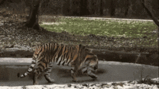 健身房|搞笑GIF: 能撑多久? 看的我好想去健身房