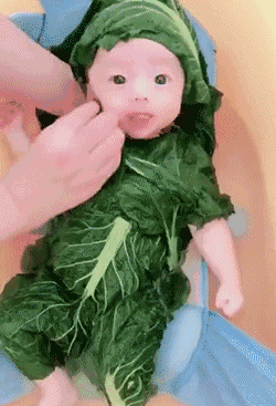 就是|爆笑GIF动态图:画面太美,大姐连忙把孩子拉走了