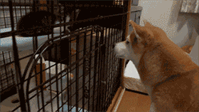 姐姐|最喜欢你这种怎样都觉得美美的小姐姐了。