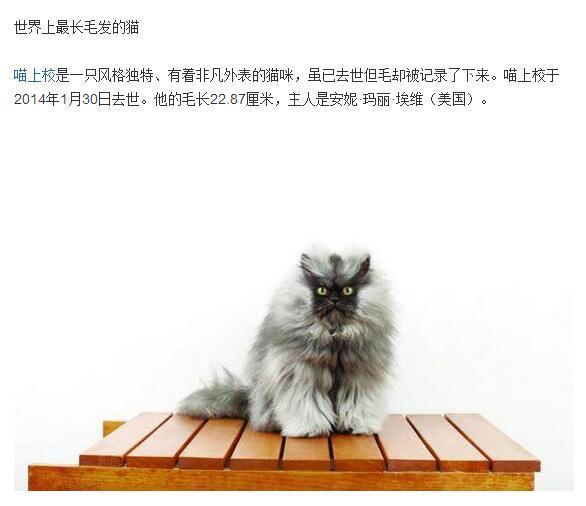 奇葩|超搞笑的奇葩吉尼斯记录,感觉我都可以申请了!