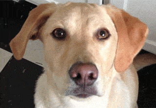 未婚妻|幽默段子：换个便宜点的，得让我未婚妻相信是我买的