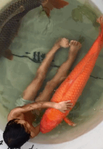 进水管|搞笑段子:差一步没碗,就牵着狗走散,差一步掉进水管无法生还