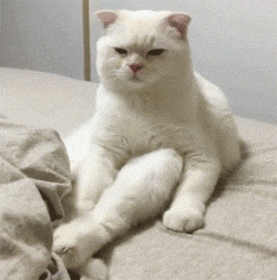 搞笑gif: 不要靠近我,我不是你们的妈妈