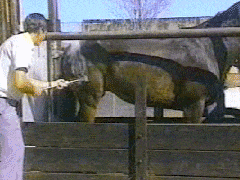 擦玻璃|搞笑GIF：别走啊，我在擦玻璃而已