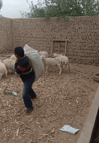 学驾|搞笑GIF:现在这些男人……