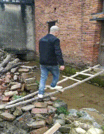 金刚钻|搞笑GIF：就算你求我，我也不会再去你家玩了