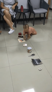 短浅|搞笑GIF：不要说我短浅，我真的竟然羡慕起狗的生活了！