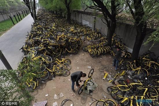 小黄|“捡来的孩子”小黄车：你的良心不会痛吗