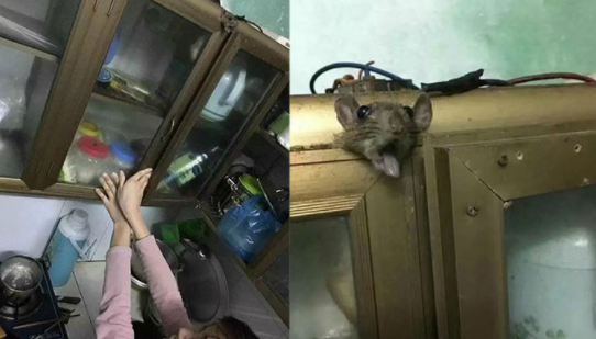 段子|搞笑gif：有钱当然要买个豪车了