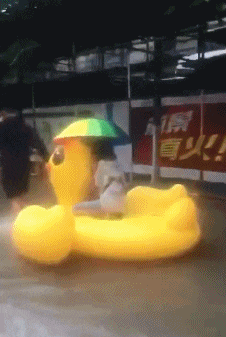 阿玛|搞笑GIF:姑娘,胆子那么小就不要玩这个了!是不是都晕了!