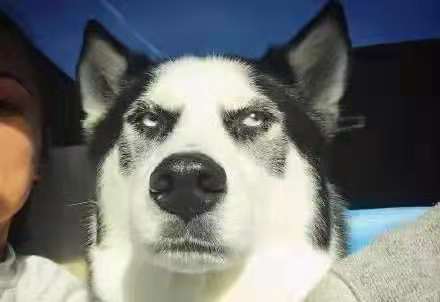 舅舅|开心一刻笑话：夜里电话响了，是一个男生打来的，说是找我