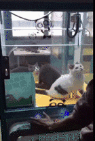 上地|爆笑一分钟：我穿着个大羽绒服准备上地铁，突然感觉bra扣子开了…