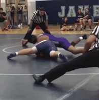 父亲|搞笑动图：狗咬鸡蛋，多管闲事