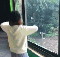 家子|搞笑GIF：看姑娘这身手，绝对是一练家子！