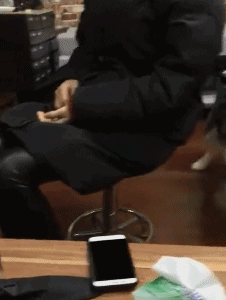 泰迪|搞笑GIF:好了,先过去吧!别烦我了!