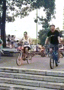 胖子|爆笑GIF: 这应该是全世界最会享受的一只金毛了吧