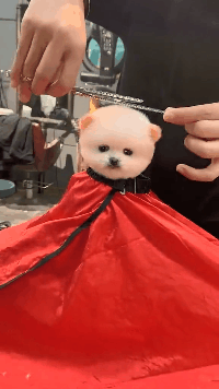 教练|搞笑GIF：有一个好教练真的是很重要啊！