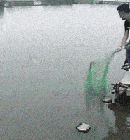 姑娘|搞笑GIF: 这是姑娘结婚要的“五金”吗?