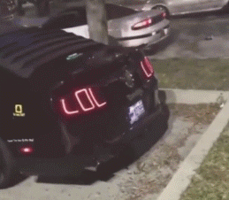 归路|搞笑Gif:美女,你瞄的可真准!