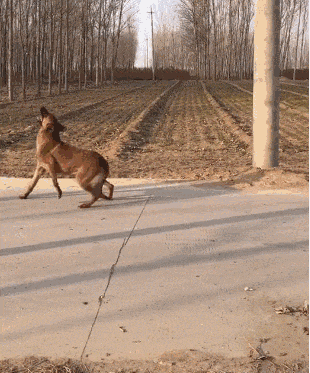 现实|搞笑GIF：这才是现实中的小姐姐，不信你看这腿，现实不？