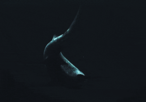 一笑倾城|清眉如黛一笑倾城，啊！我有种要射了的感觉！