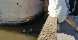 人群|搞笑GIF：只因在人群中多看了你一眼