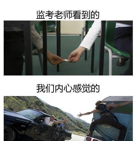 内心|搞笑GIF: 结婚赶上发洪水, 新郎新娘内心是崩溃的