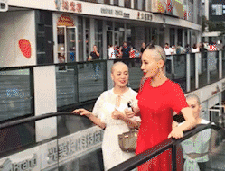 要因|搞笑gif:这是哪里的富婆团,又要因为你们造成交通堵塞了