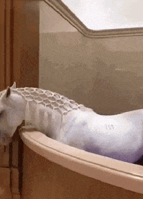 单间|好想从后面帮她推一下