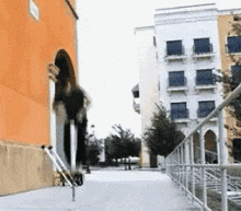 本事|搞笑GIF: 喂，有本事你下来，来，你下来！