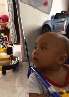 厉害|搞笑GIF:主人遛大狗,大狗遛小狗