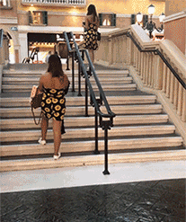 蜻蜓|搞笑GIF:飞行不规范,蜻蜓两行泪