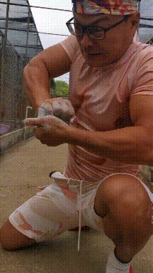 朴实|搞笑GIF：自行车：你下去，我去给你超车去