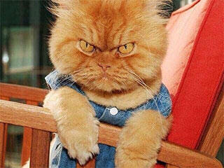 网吧|搞笑gif: 出去，网吧不欢迎你