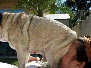 队友|搞笑gif: 终于知道他为啥秃顶了