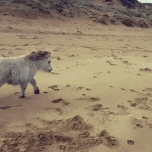 拔草|搞笑GIF:大姐要下雨了,快回家,别再玉米地拔草了