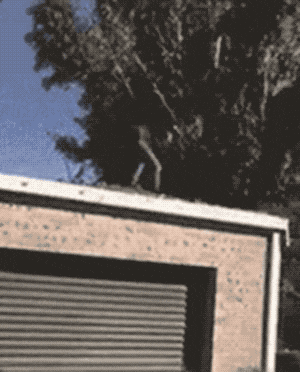 搞笑|搞笑GIF趣图:小姐姐，你跳的是什么舞蹈，以前怎么没有见过呢！